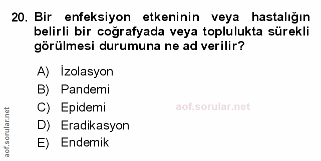 Soru 20