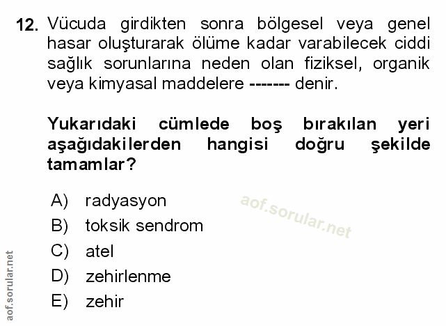 Soru 12