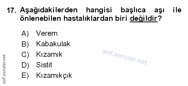 Soru 17