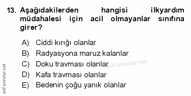 Soru 13