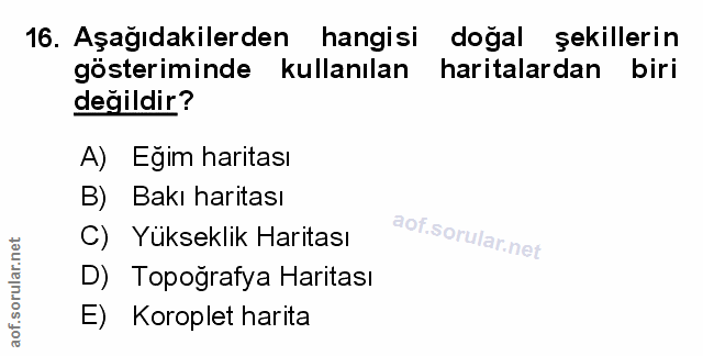 Soru 16