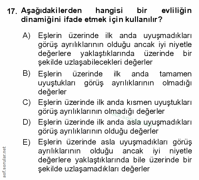 Soru 17