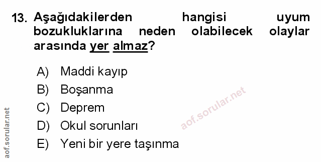 Soru 13