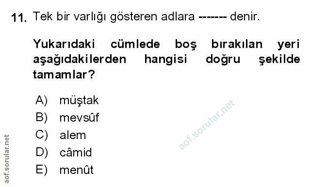 Soru 11