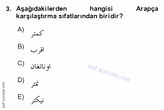 Soru 3