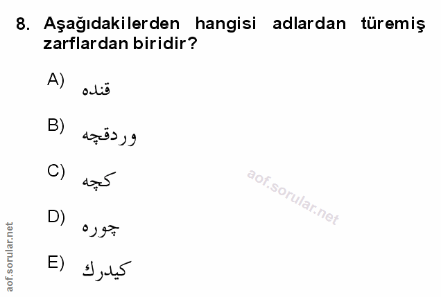 Soru 8