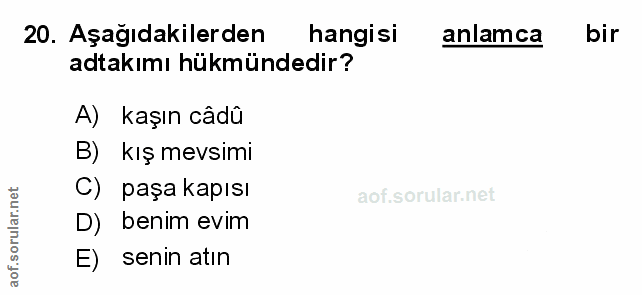 Soru 20