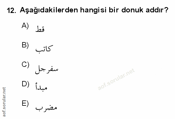 Soru 12