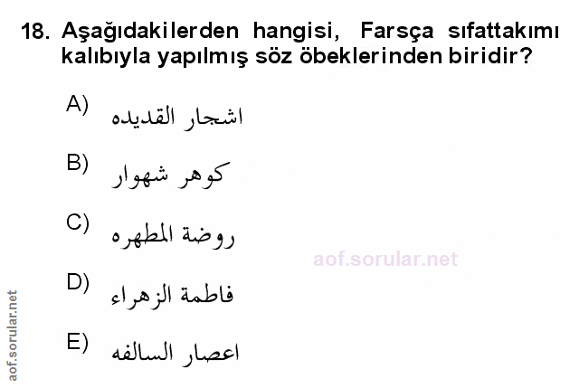 Soru 18