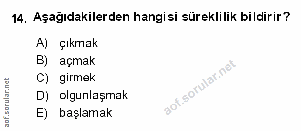 Soru 14