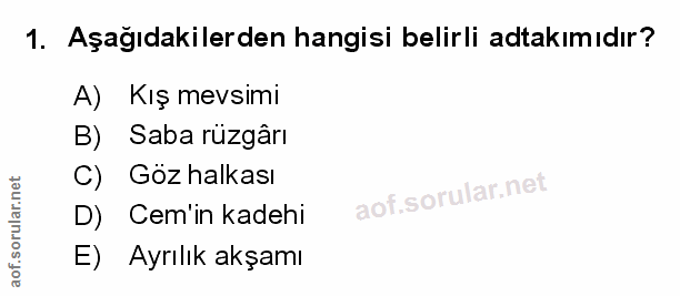 Soru 1