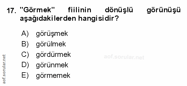 Soru 17