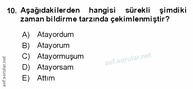 Soru 10