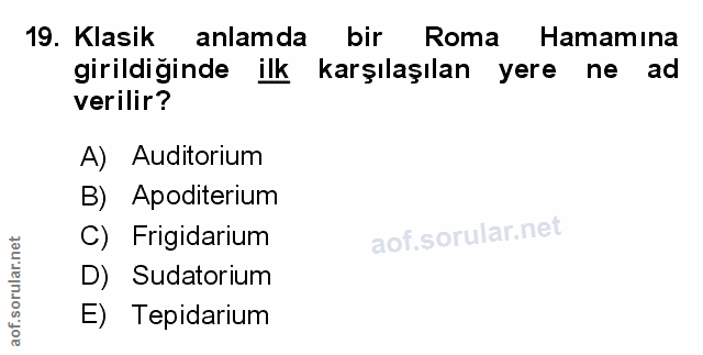 Soru 19