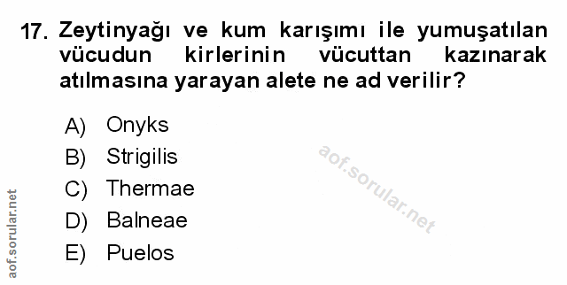 Soru 17
