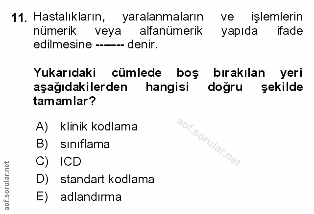 Soru 11