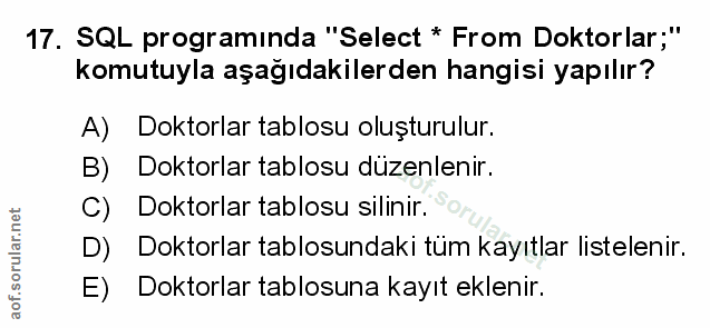 Soru 17