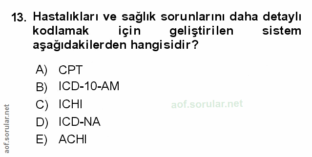 Soru 13