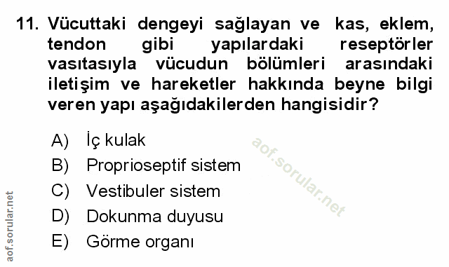 Soru 11