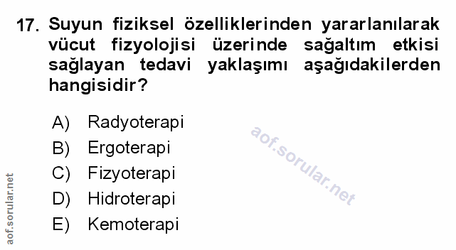 Soru 17