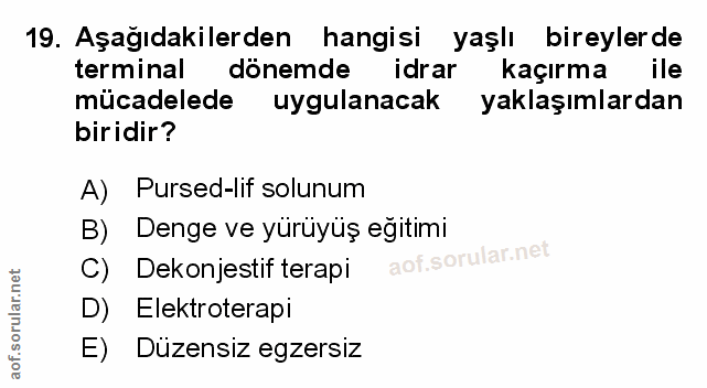 Soru 19