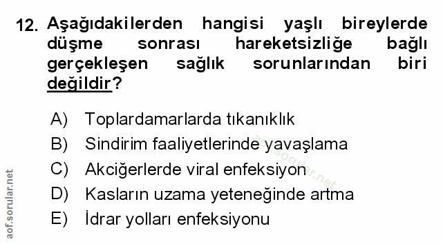 Soru 12