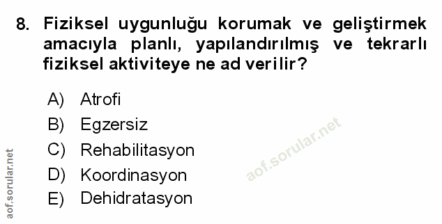 Soru 8