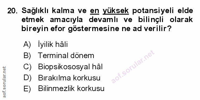 Soru 20