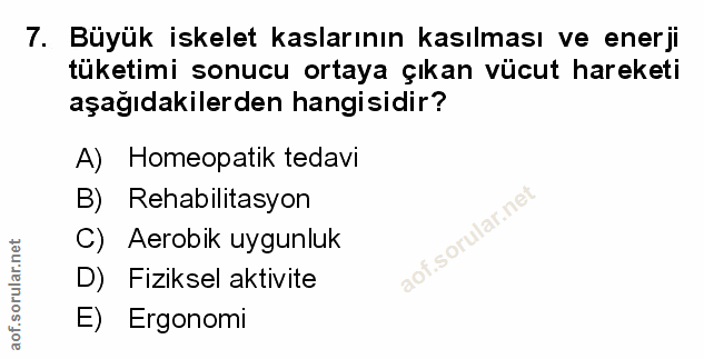 Soru 7
