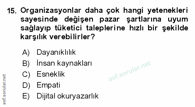 Soru 15