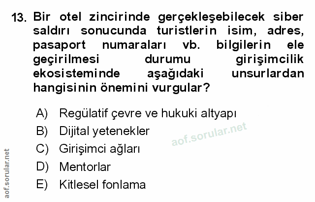 Soru 13
