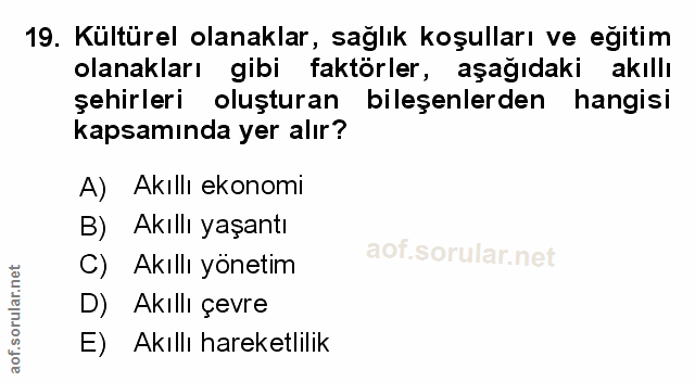 Soru 19