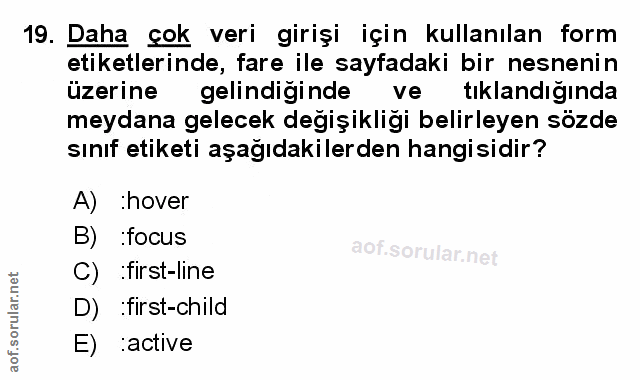 Soru 19