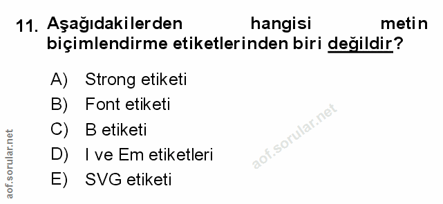 Soru 11