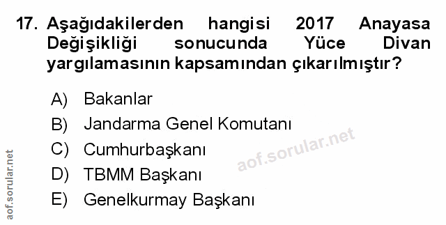 Soru 17