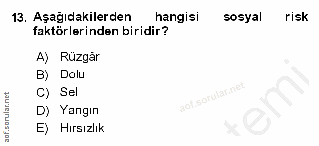 Soru 13