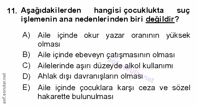 Soru 11