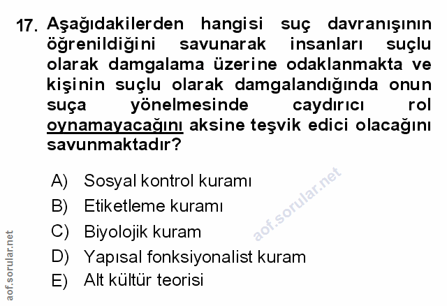 Soru 17