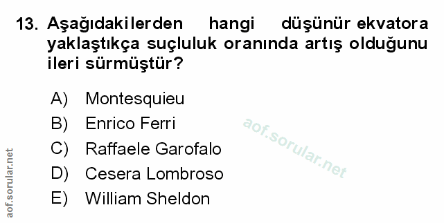 Soru 13