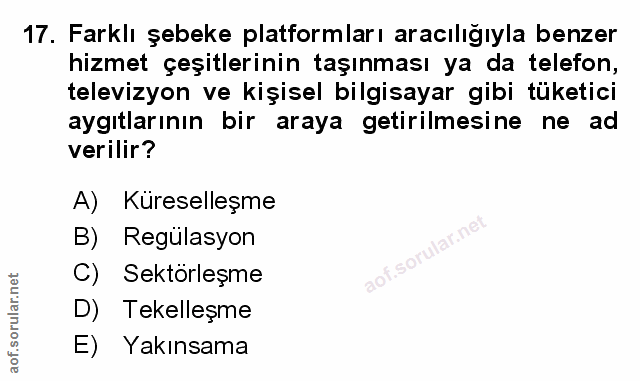 Soru 17