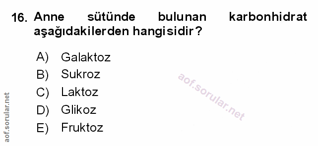 Soru 16