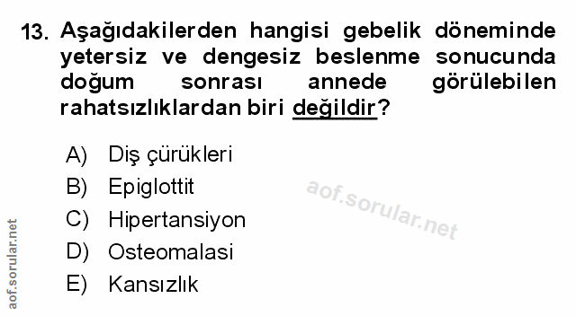 Soru 13