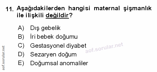 Soru 11