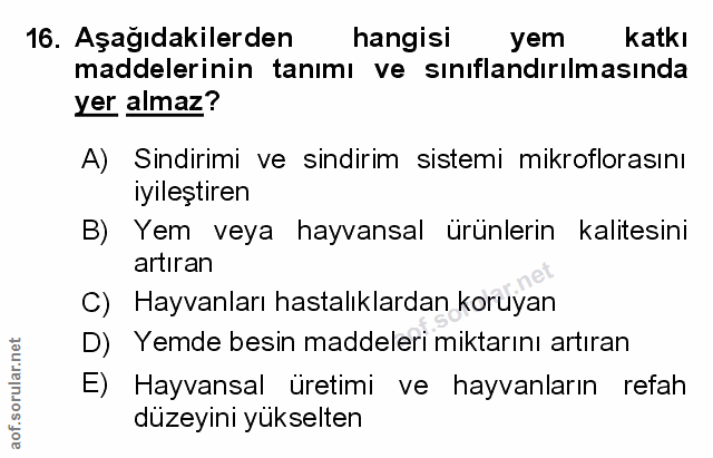 Soru 16