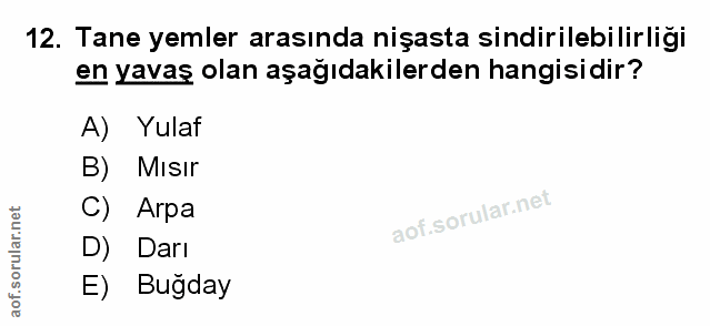 Soru 12