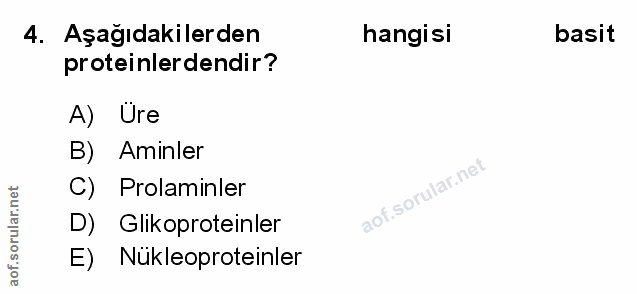 Soru 4