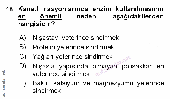 Soru 18