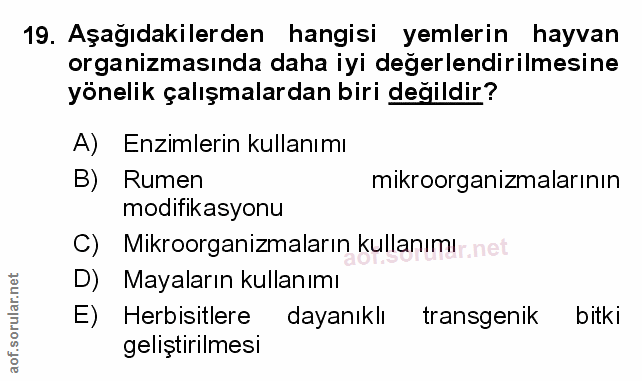 Soru 19
