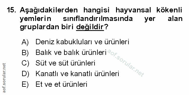 Soru 15