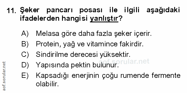 Soru 11